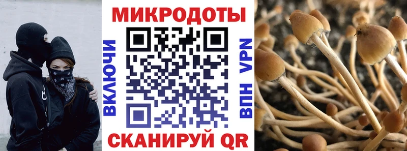 нарко площадка официальный сайт  Красный Холм  Галлюциногенные грибы MAGIC MUSHROOMS 